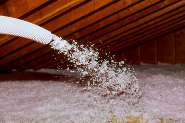 Best Geographic-Specific Insulation Services in Oak Grove, SC