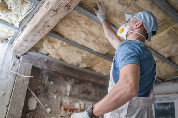 Types of Insulation We Offer in Oak Grove, SC