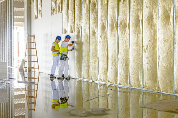 Best Insulation for Specific Applications in Oak Grove, SC